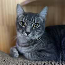 Thumbnail photo of Haze #1