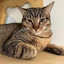 Thumbnail photo of Jar Jar #2