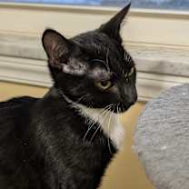 Thumbnail photo of Pucket #3