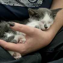 Thumbnail photo of George Marigold (& Hazel) #2