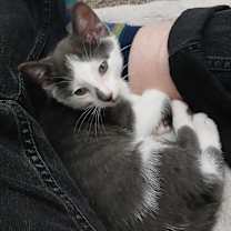 Thumbnail photo of George Marigold (& Hazel) #4