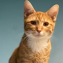 Thumbnail photo of Lucy #1