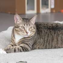 Thumbnail photo of Dream (bonded with Padrick) #4