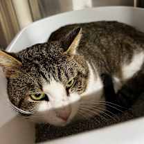 Thumbnail photo of Aaron #2