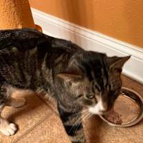 Thumbnail photo of Jerry #4