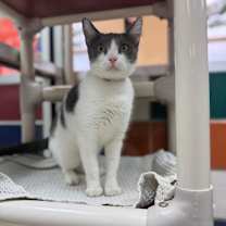 Thumbnail photo of Jessie #1