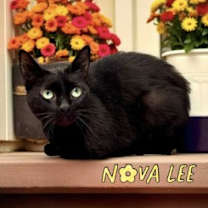 Thumbnail photo of Nova Lee #1
