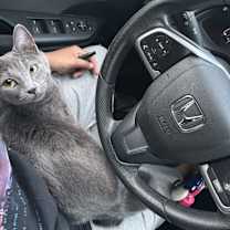 Thumbnail photo of Mila #2