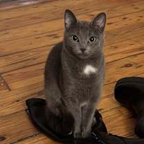 Thumbnail photo of Mila #3