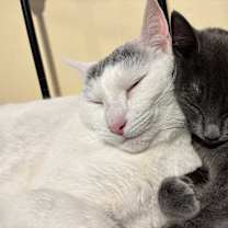 Thumbnail photo of Mila #4