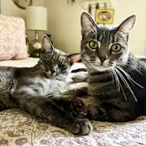 Thumbnail photo of Lucie #4