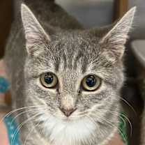 Thumbnail photo of Sharon Osbourne #3