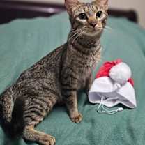 Thumbnail photo of Macy #2