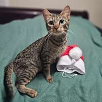 Thumbnail photo of Macy #4