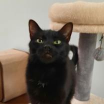 Thumbnail photo of Samantha #2