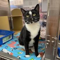 Thumbnail photo of Flower #1