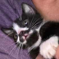 Thumbnail photo of Spork #2