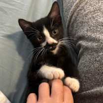 Thumbnail photo of Spork #4