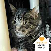 Thumbnail photo of Nate #1