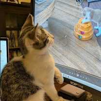 Thumbnail photo of Droplet #2