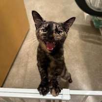 Thumbnail photo of Kaley #4