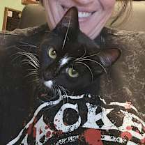 Thumbnail photo of Mini Frank #3