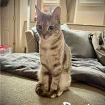 Thumbnail photo of Rasta #2