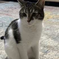 Thumbnail photo of Mae #2