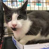 Thumbnail photo of Benjamin #3