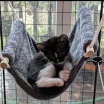 Thumbnail photo of Paris 4927 #2