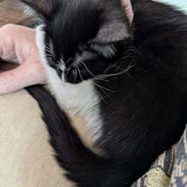 Thumbnail photo of Paris 4927 #3