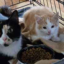 Thumbnail photo of Zippy #1