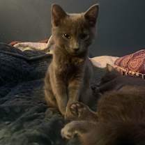 Thumbnail photo of Eli #3