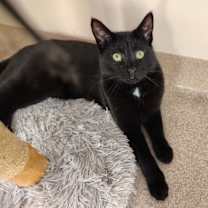 Thumbnail photo of Mr. Bates #1