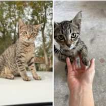 Thumbnail photo of Harvest #2