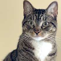 Thumbnail photo of NELLA #2