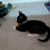 Thumbnail photo of Cairo 4931 #2