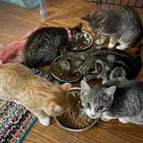 Thumbnail photo of Morgan #2