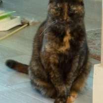 Thumbnail photo of Joanna #2