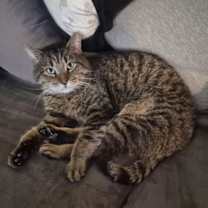 Thumbnail photo of Junior (Teddy Bear!) #1