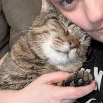 Thumbnail photo of Junior (Teddy Bear!) #2