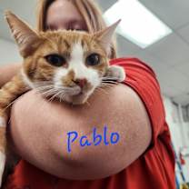Thumbnail photo of Pablo #1
