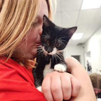 Thumbnail photo of Coketa #1