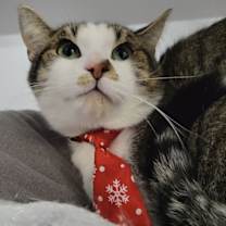 Thumbnail photo of Richard #4