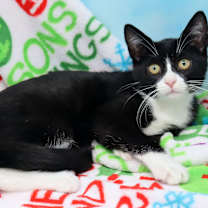 Thumbnail photo of Clarissa #2