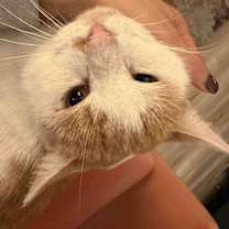 Thumbnail photo of Egbert #3