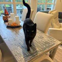 Thumbnail photo of Little Red #1