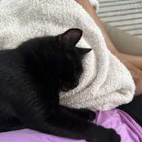 Thumbnail photo of Little Red #3