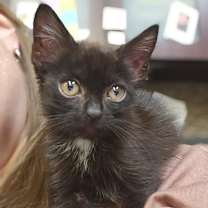 Thumbnail photo of Miss Rip Van Winkle #2