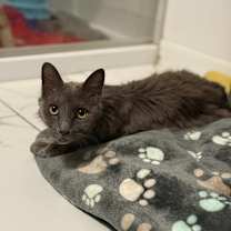 Thumbnail photo of Mr Puff #2